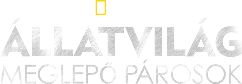 Állatvilág: meglepő párosok