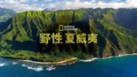 thumbnail - 野性夏威夷