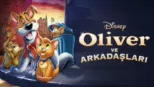 thumbnail - Oliver ve Arkadaşları