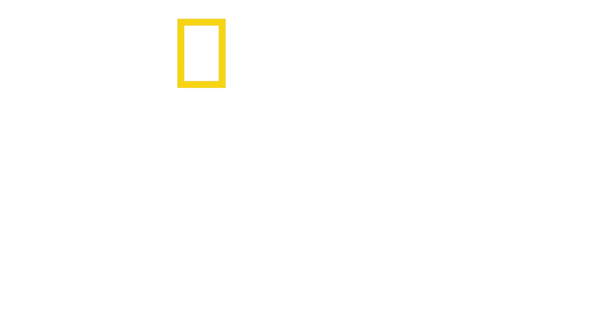 鯨之謎