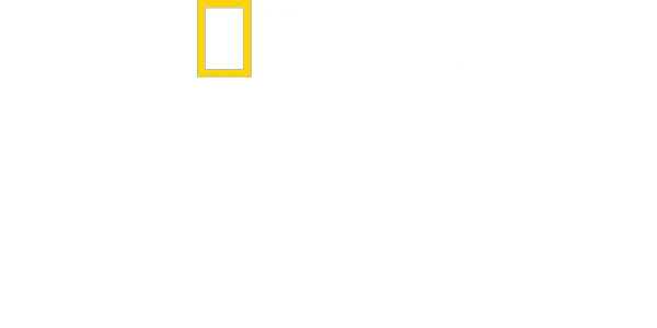 鯨之謎