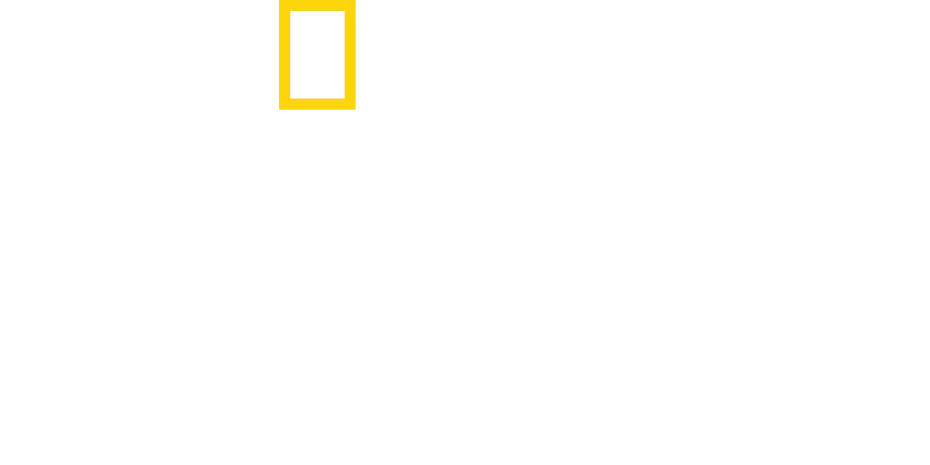 鯨之謎