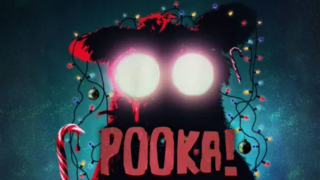 thumbnail - Pooka