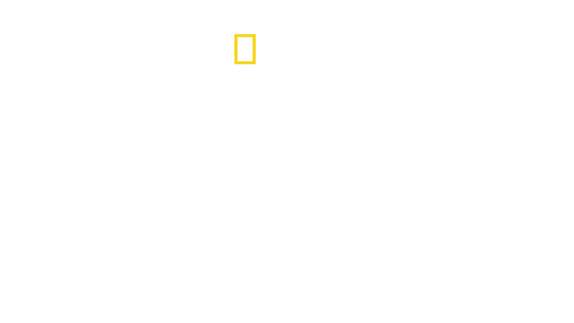 Kuzey'in Köpekbalıkları