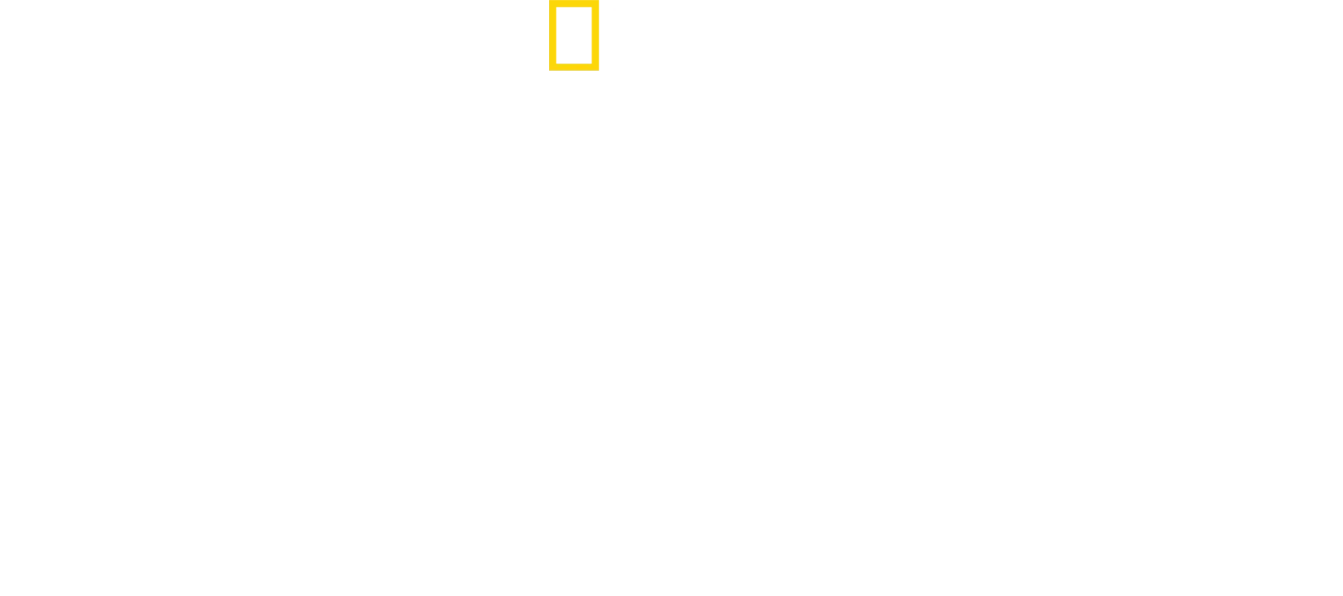 Kuzey'in Köpekbalıkları
