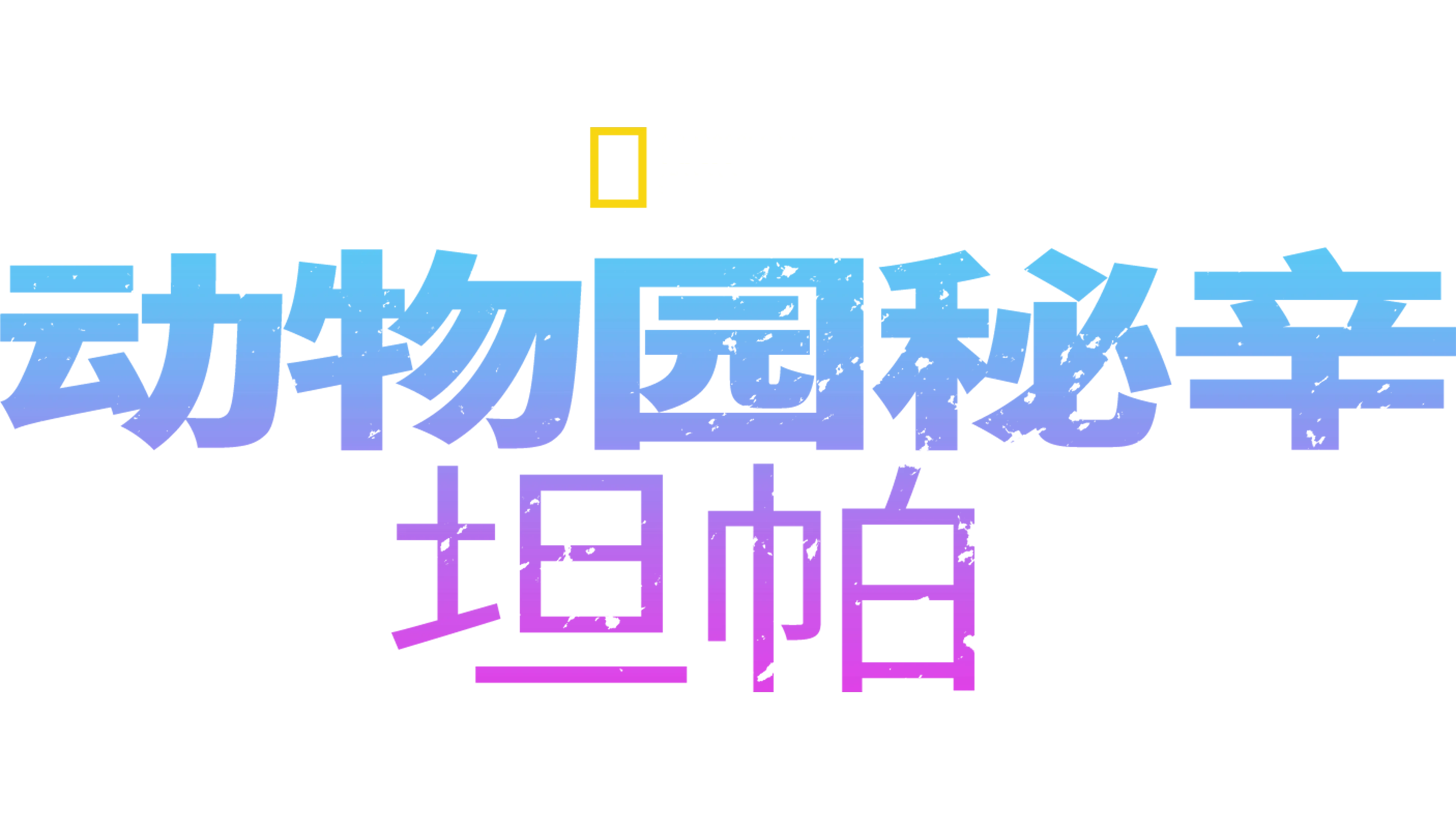 动物园秘辛：坦帕