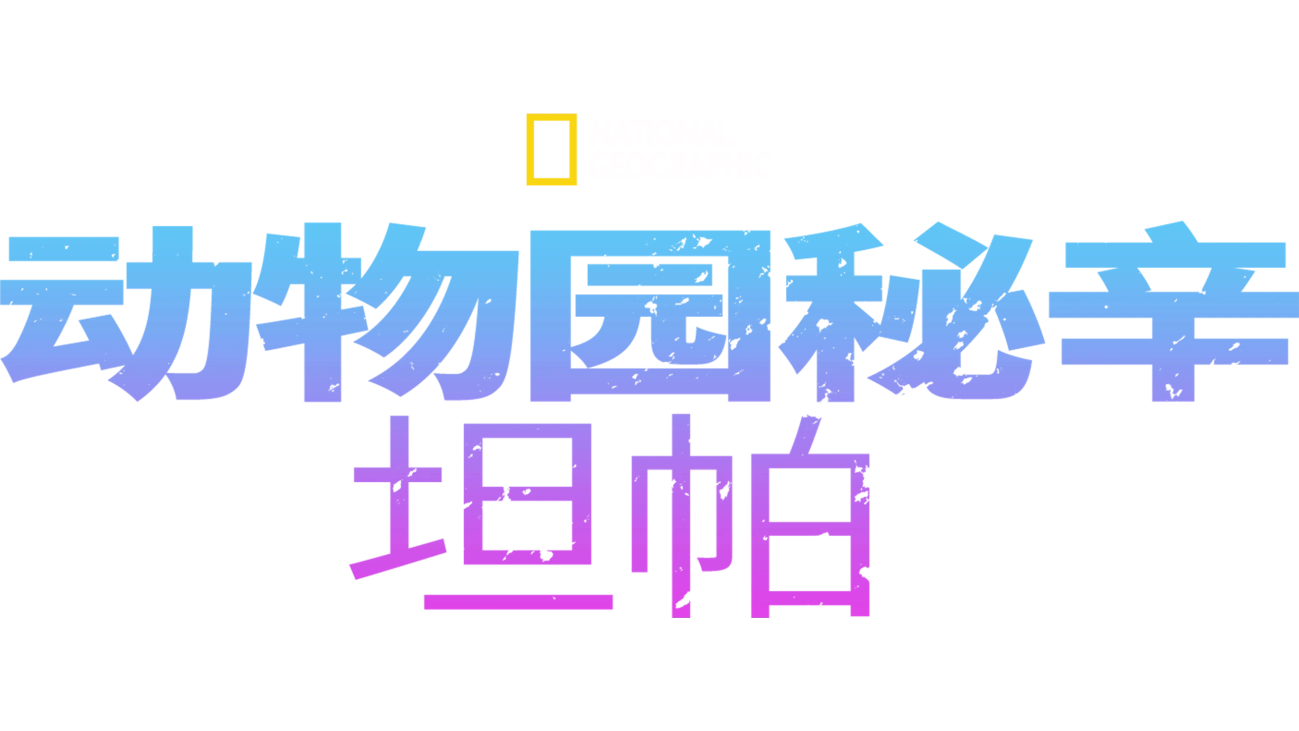 动物园秘辛：坦帕