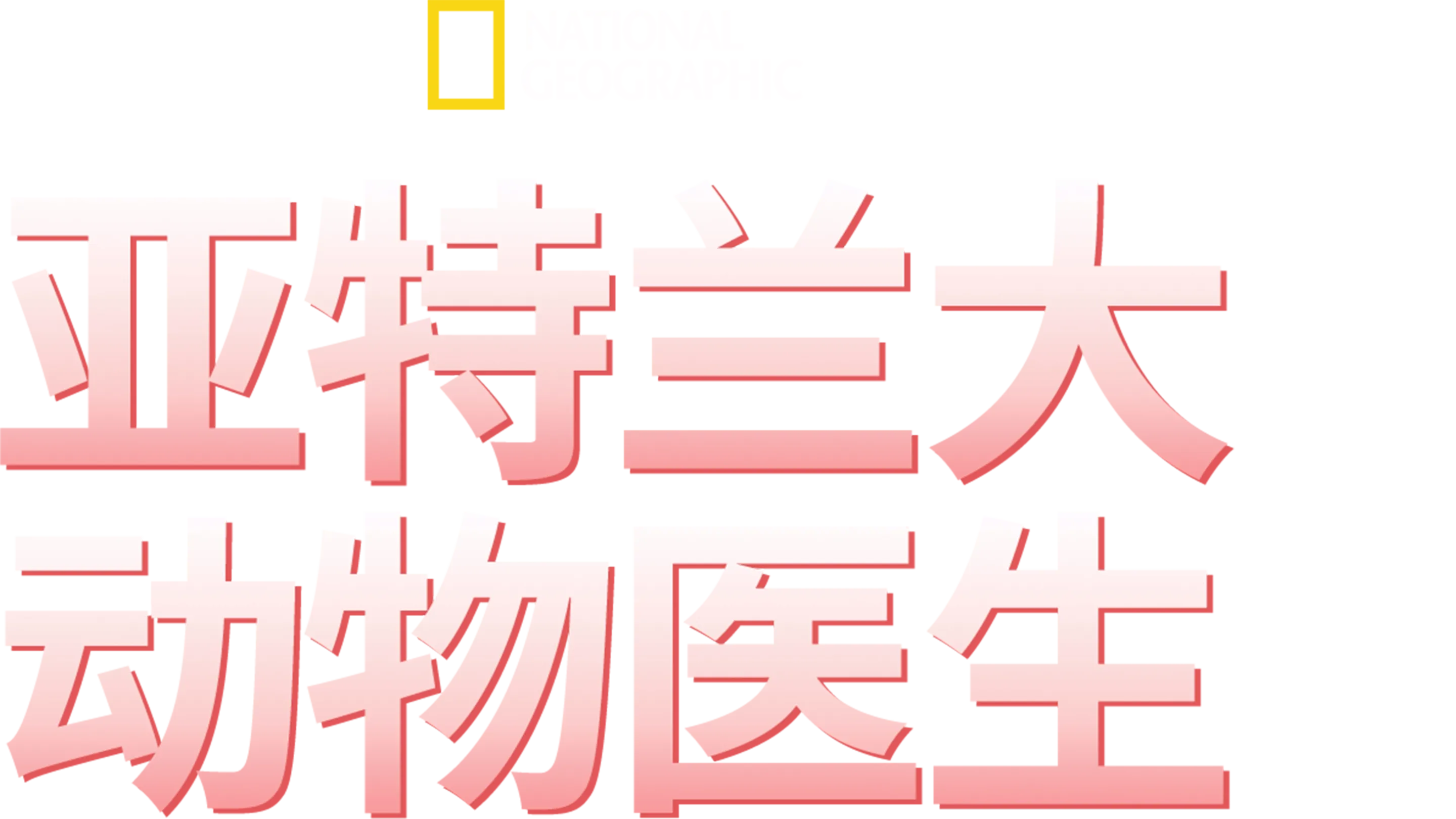 亚特兰大动物医生