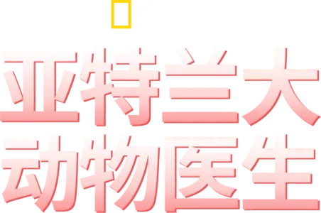 亚特兰大动物医生
