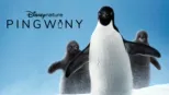 thumbnail - Pingwiny