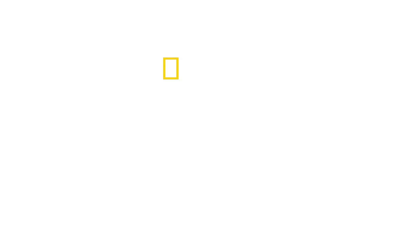 Vale dos Reis: Tesouros do Egito