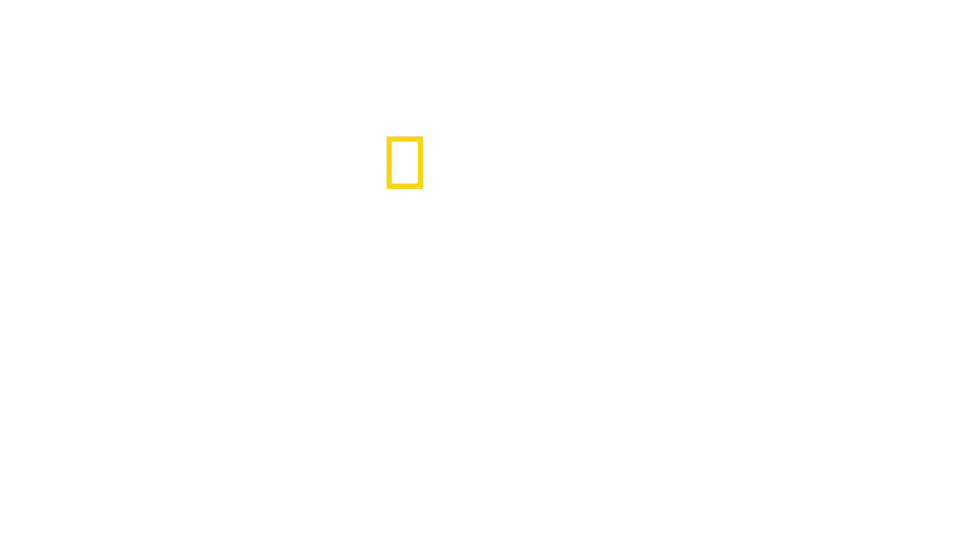 Vale dos Reis: Tesouros do Egito