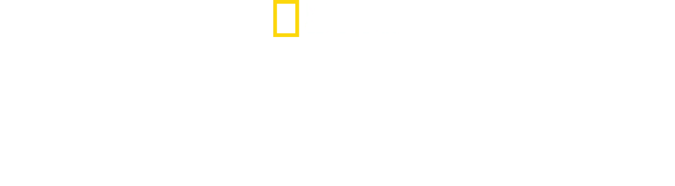 Vale dos Reis: Tesouros do Egito