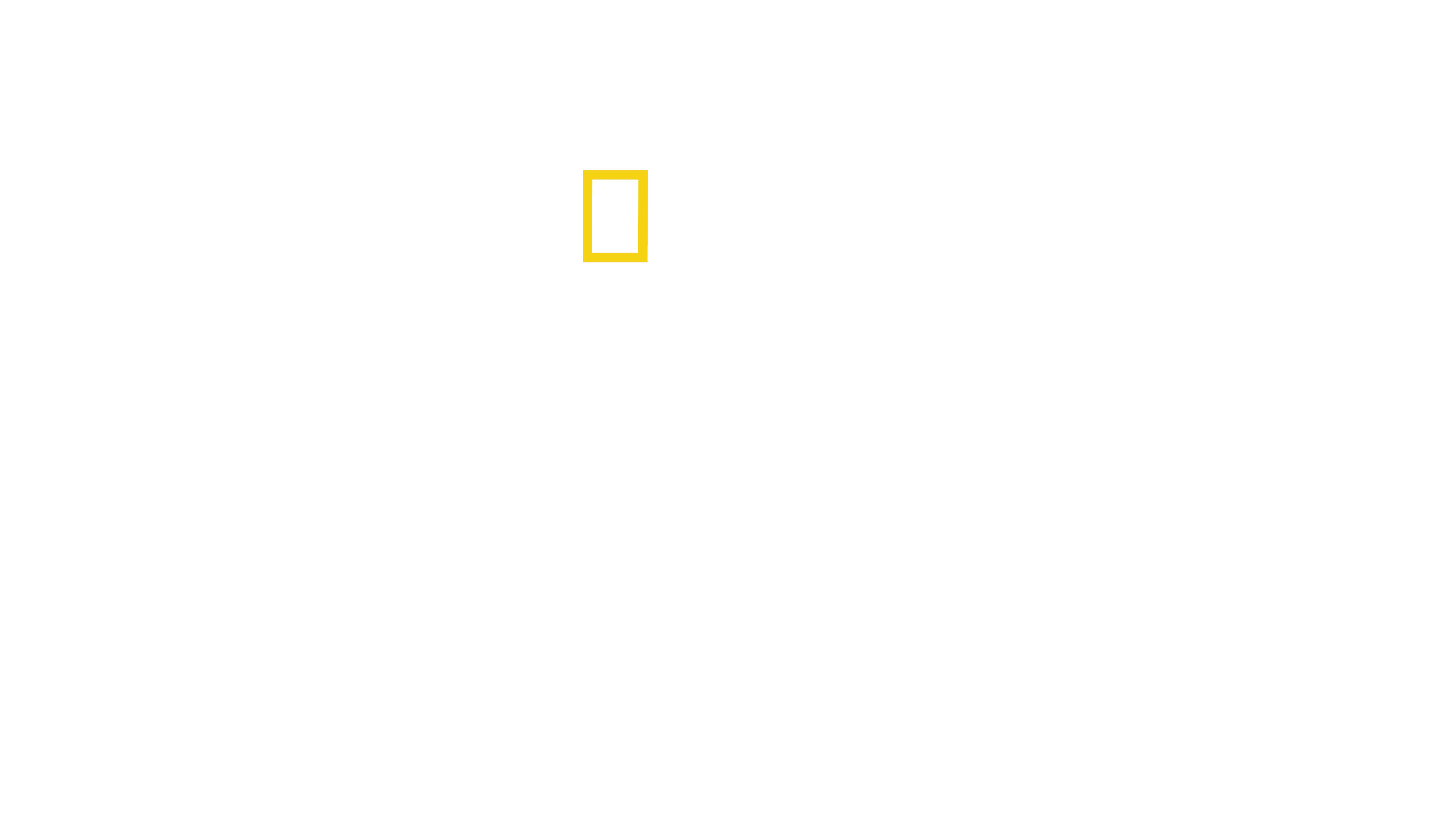 Saving Venice