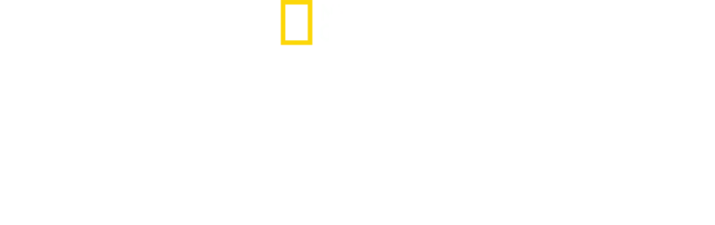Urzeala rechinilor