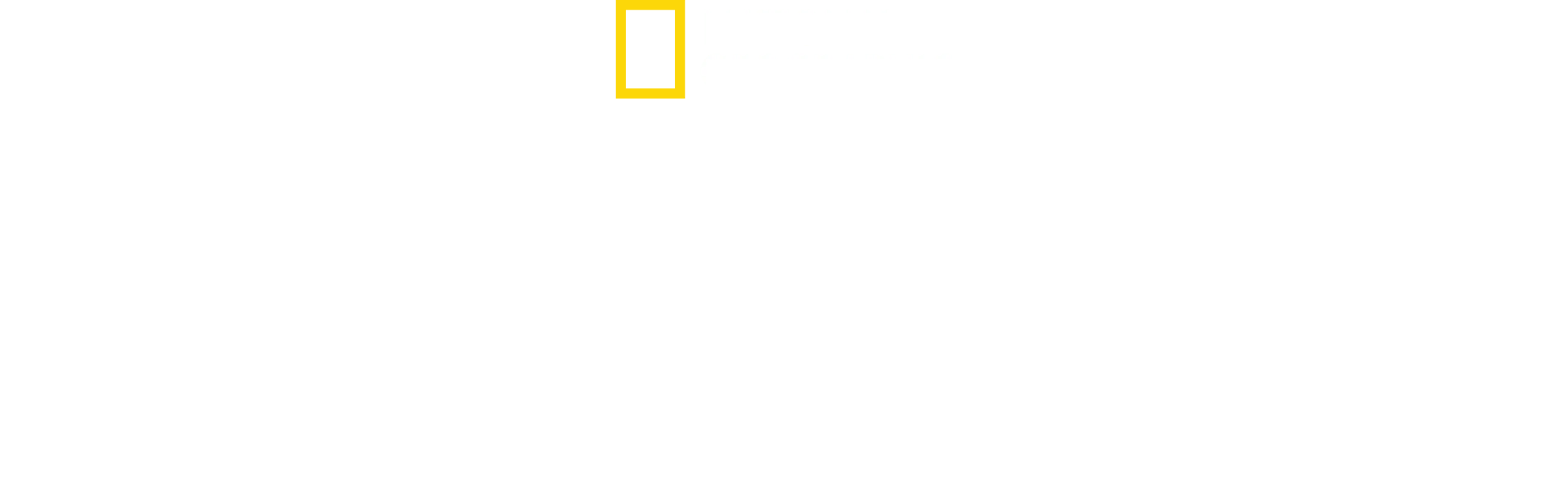 Urzeala rechinilor