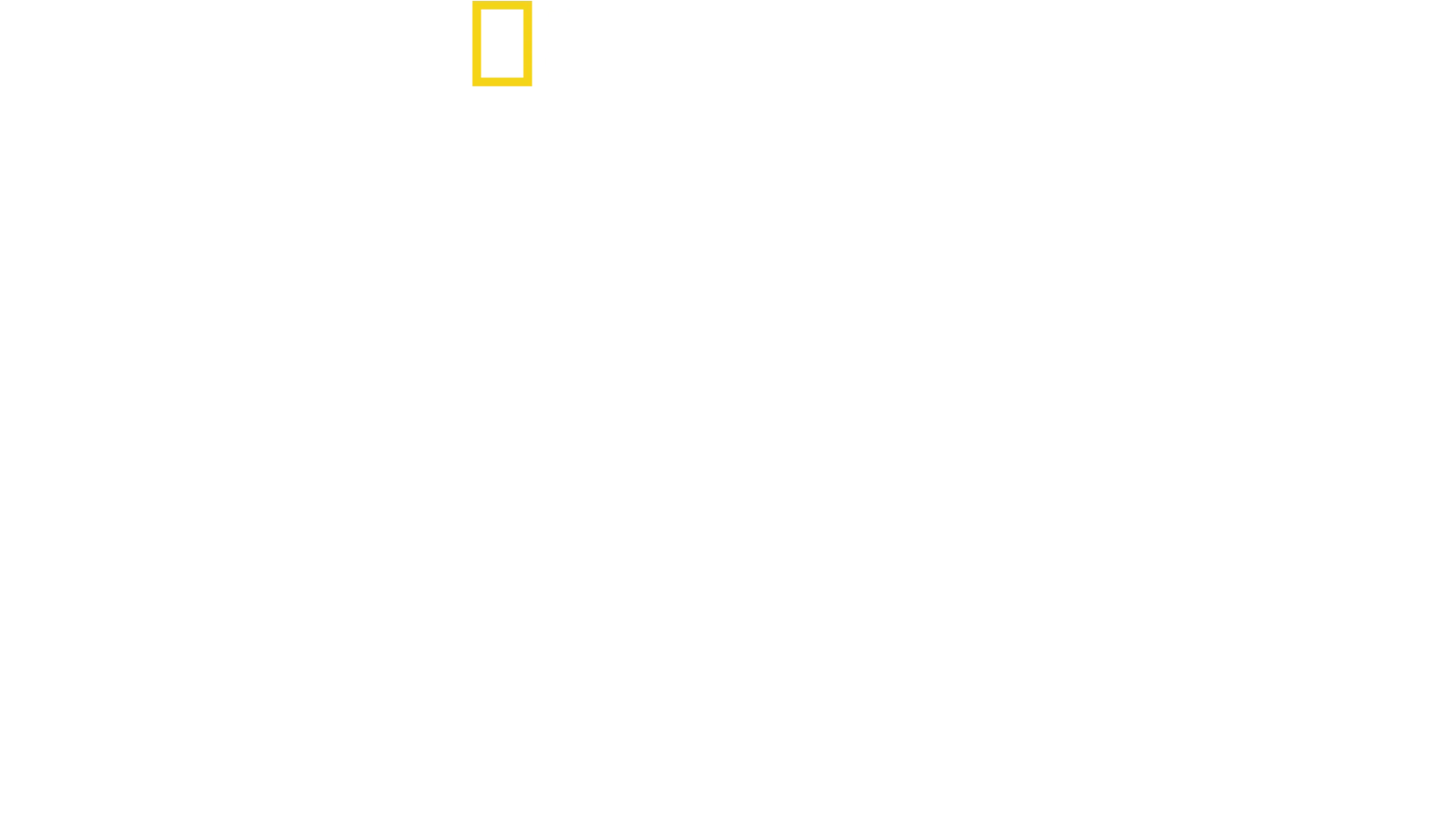 Disney’s Animal Kingdom: Το Μαγικό Πάρκο