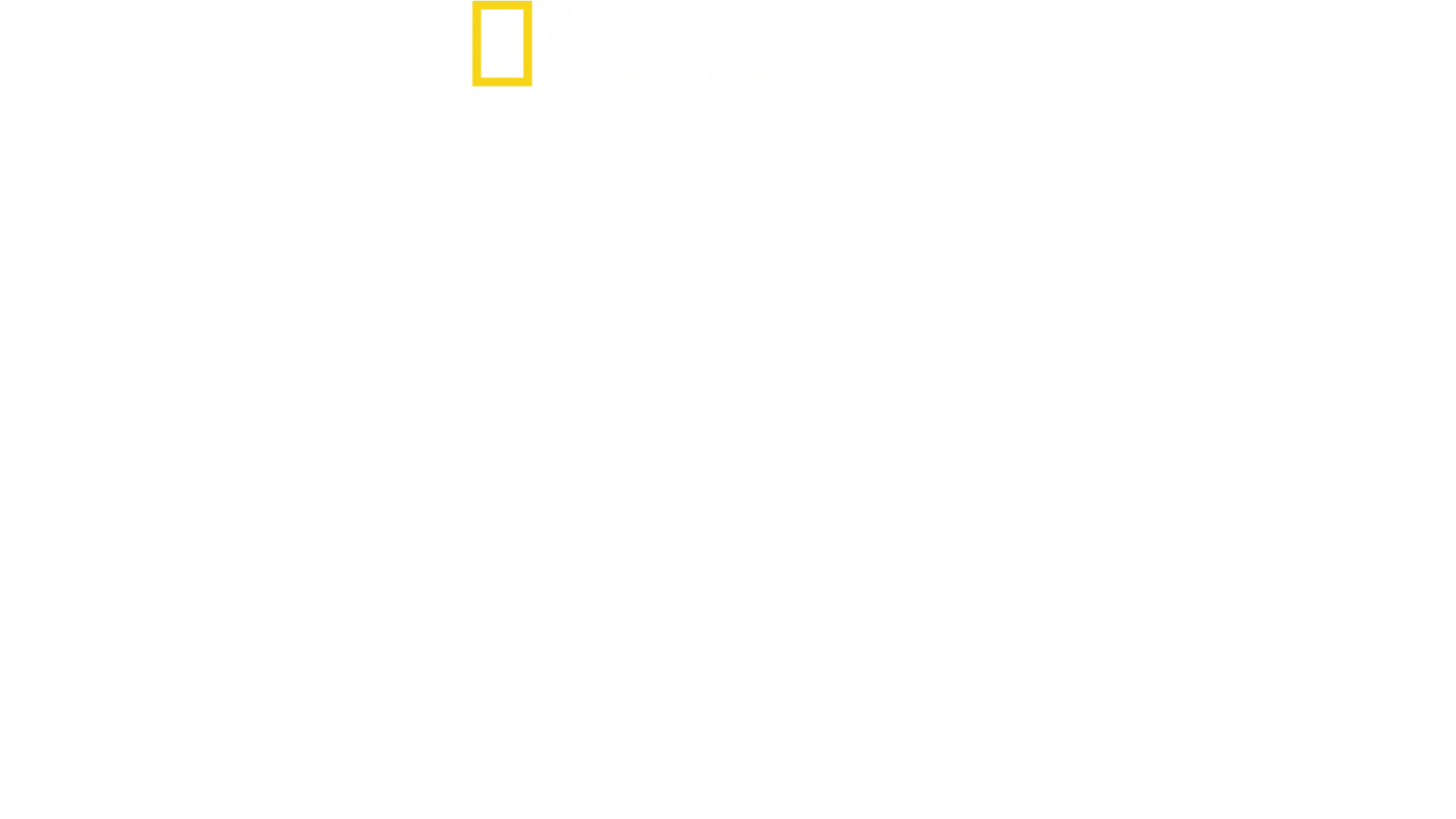 Disney’s Animal Kingdom: Το Μαγικό Πάρκο