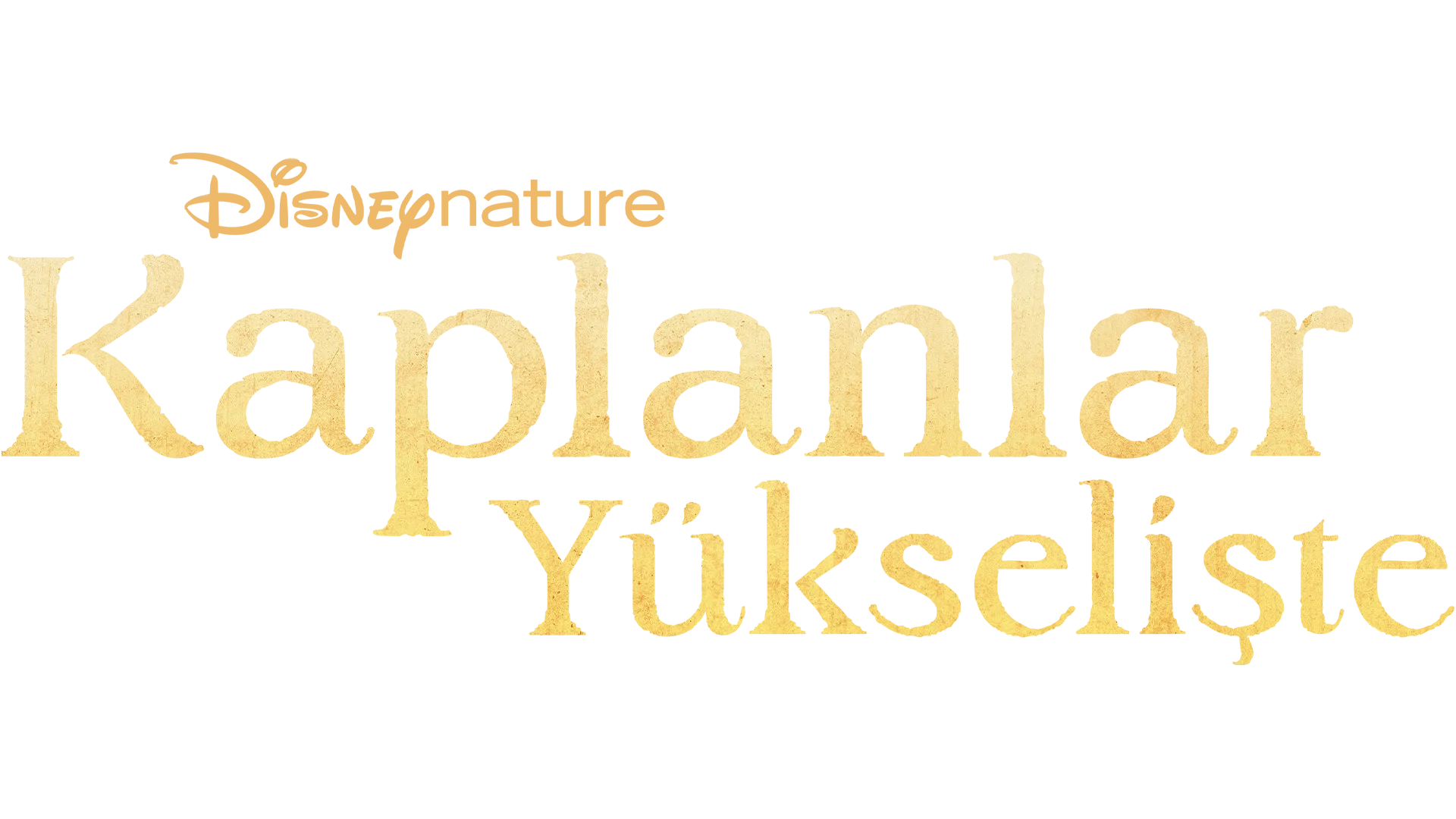 Kaplanlar Yükselişte