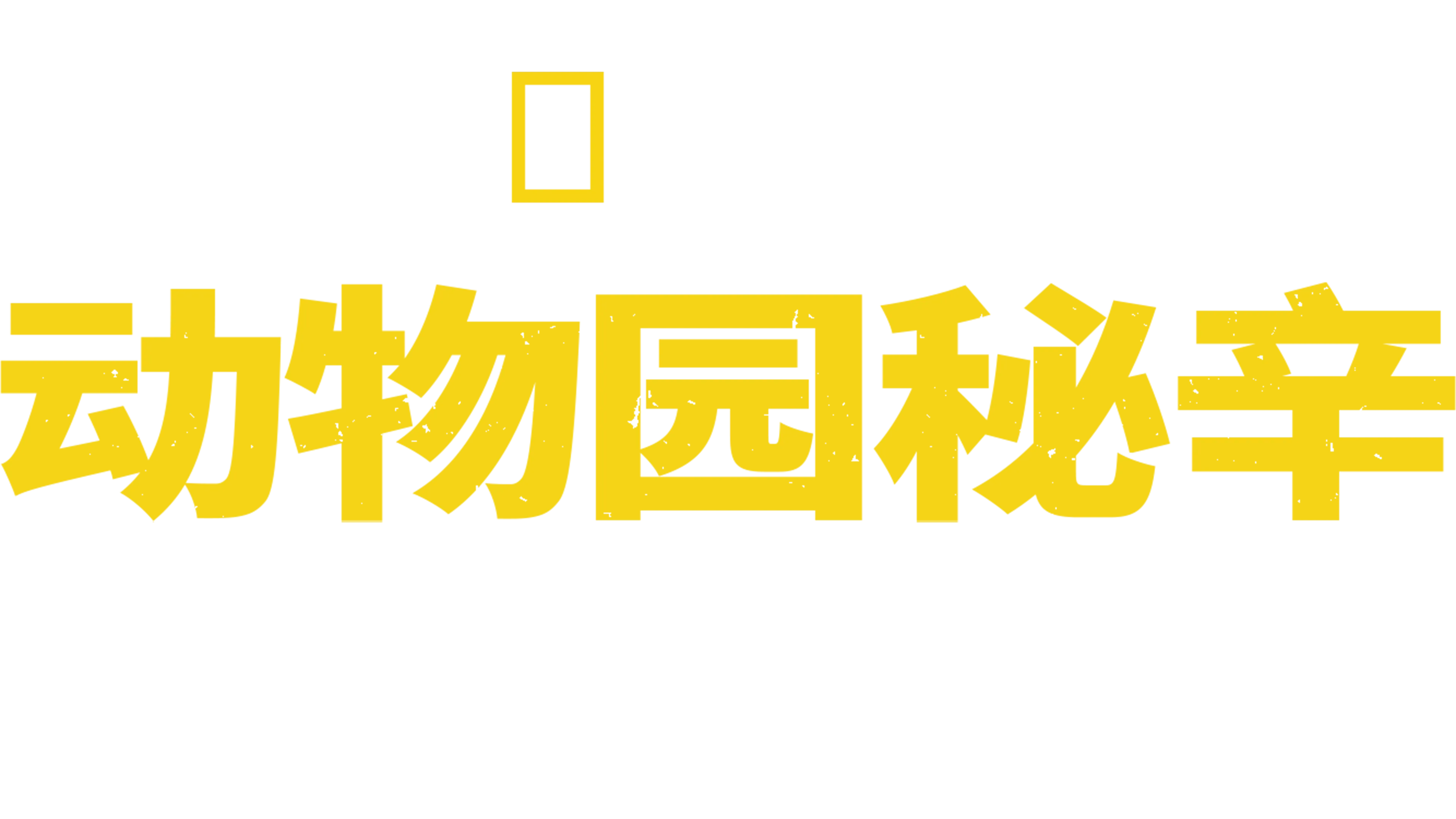 动物园秘辛：北卡罗来纳州