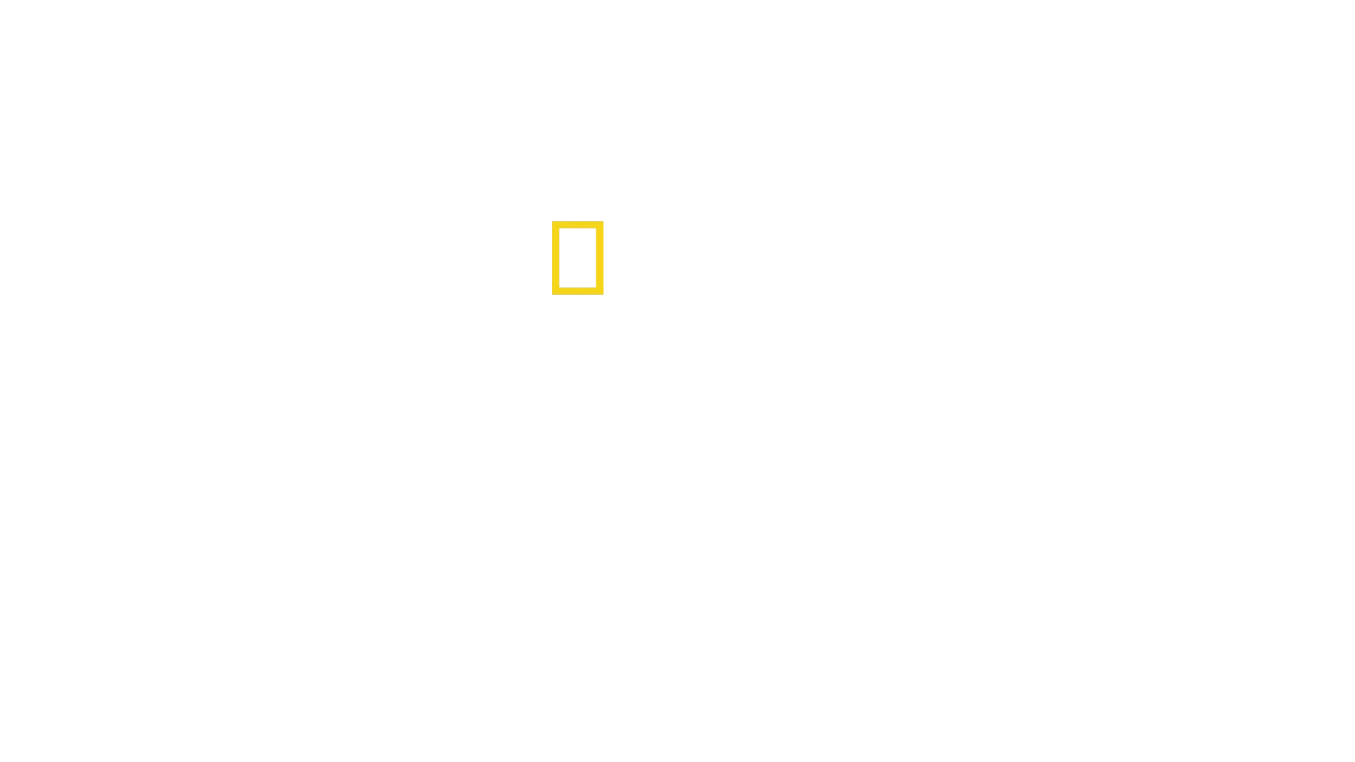 The Long Road Home