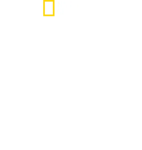 鲨鱼与冲浪客