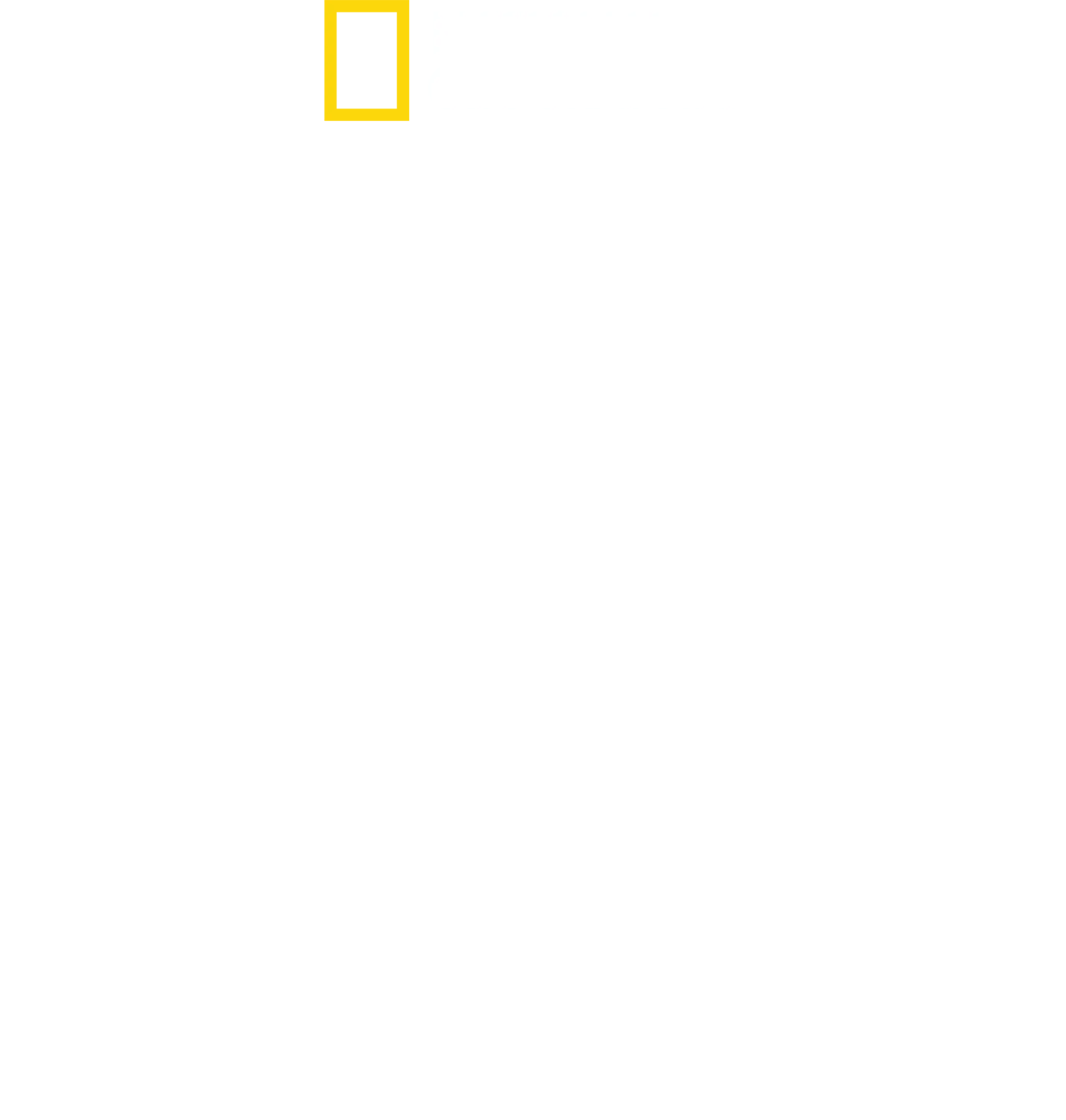 鲨鱼与冲浪客