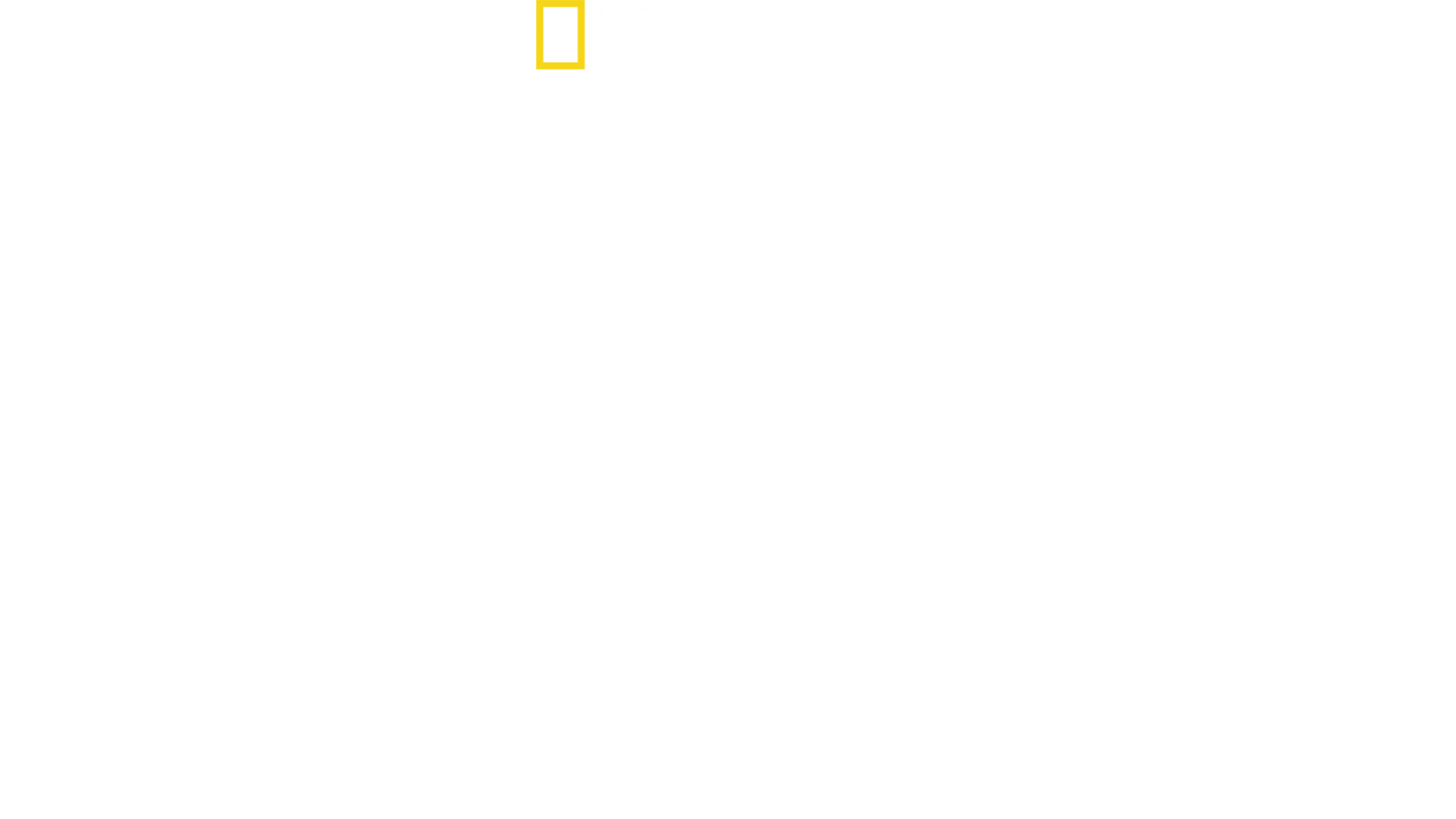 Världens dödligaste ormar