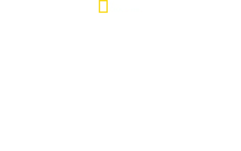 Världens dödligaste ormar