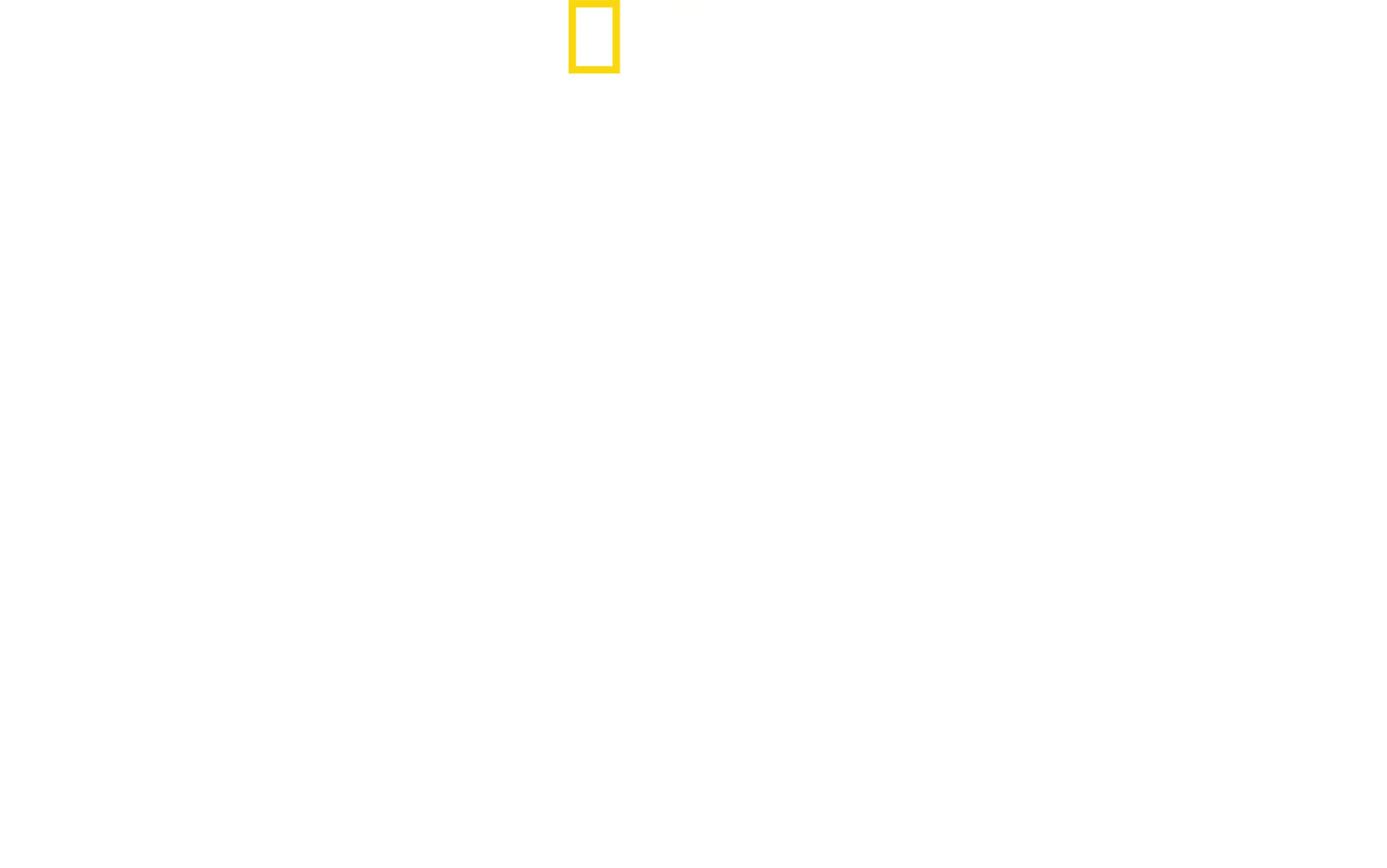 Världens dödligaste ormar