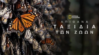 Απίστευτα Ταξίδια Ζώων