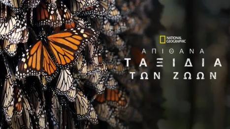 thumbnail - Απίθανα Ταξίδια Ζώων