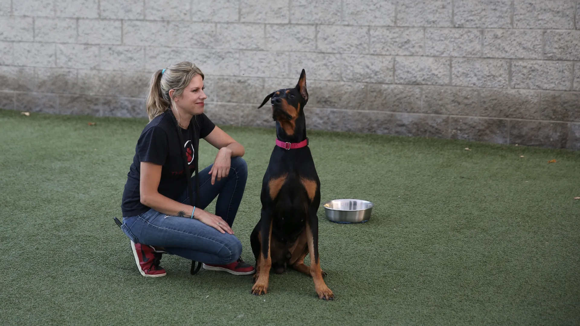 thumbnail - S2:E2 Pug Life