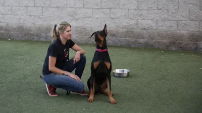 thumbnail - S2:E2 Pug Life