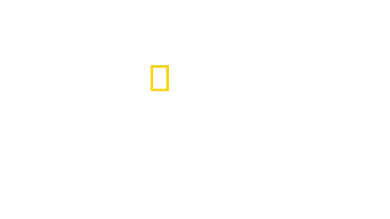 Zoogeflüster