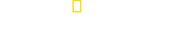 Zoogeflüster