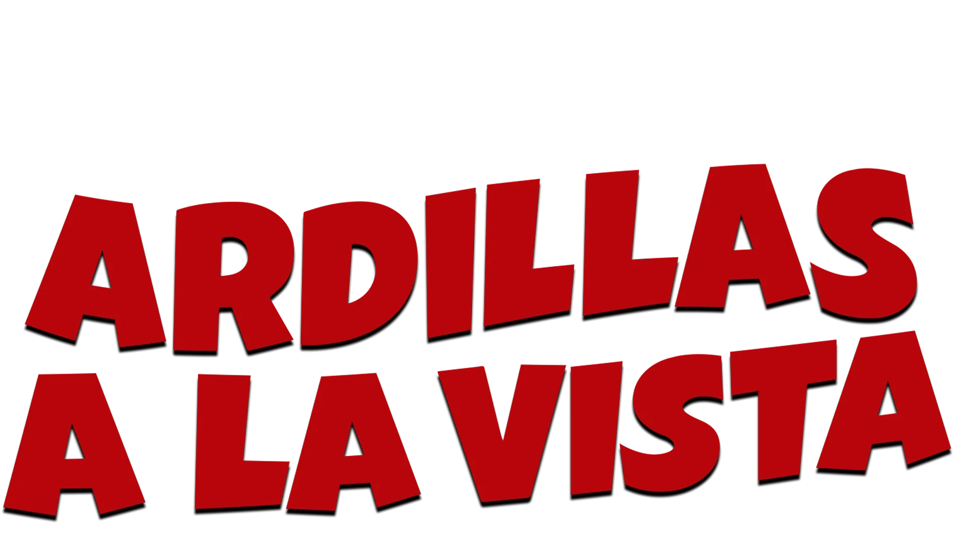 Ardillas a la vista