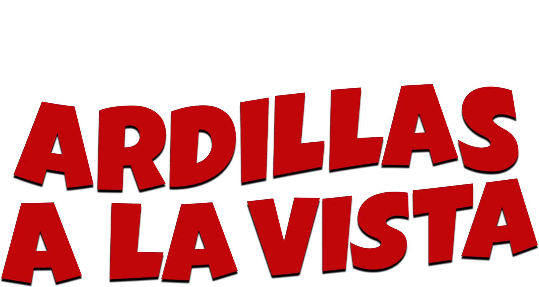 Ardillas a la vista