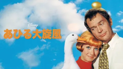 あひる大旋風