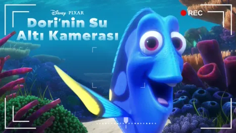 thumbnail - Dori'nin Su Altı Kamerası