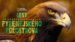thumbnail - Lesy Pyrenejského polostrova