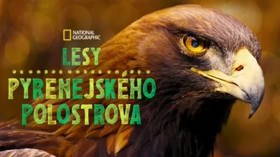 Lesy Pyrenejského polostrova