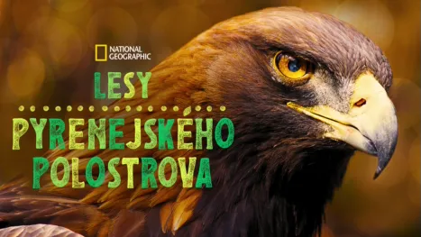 thumbnail - Lesy Pyrenejského polostrova