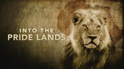 Into the Pride Lands