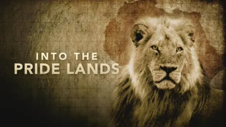 thumbnail - Into the Pride Lands