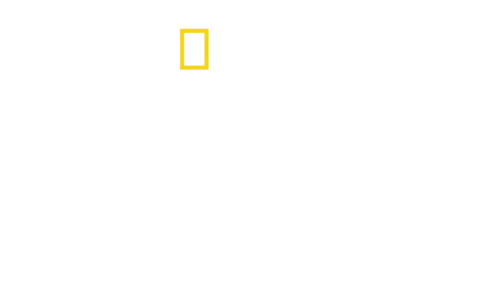 Antoni Porowski: nie ma jak w domu
