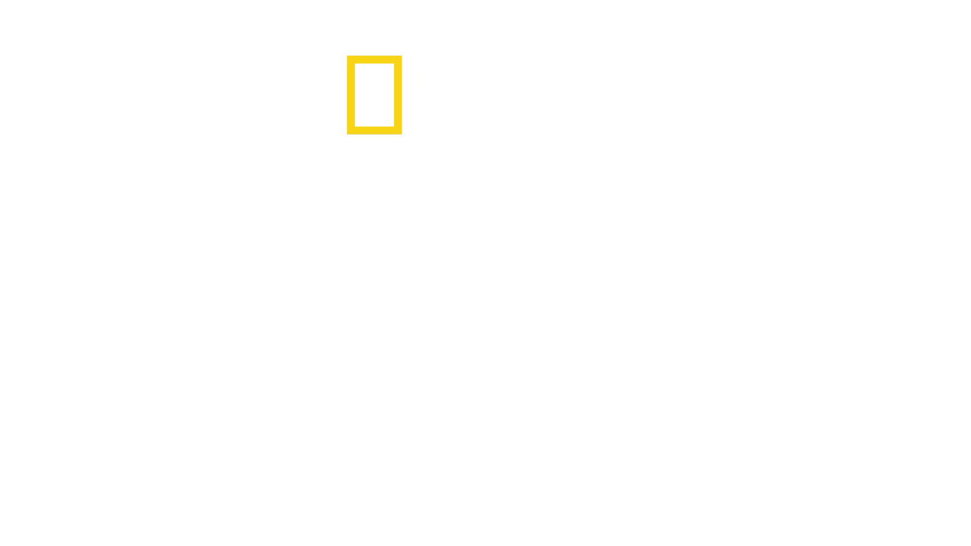 Antoni Porowski: nie ma jak w domu
