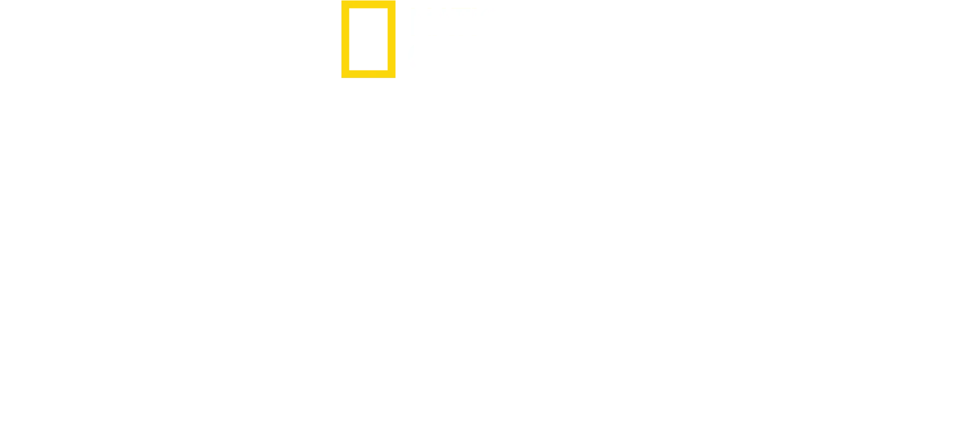 Antoni Porowski: nie ma jak w domu