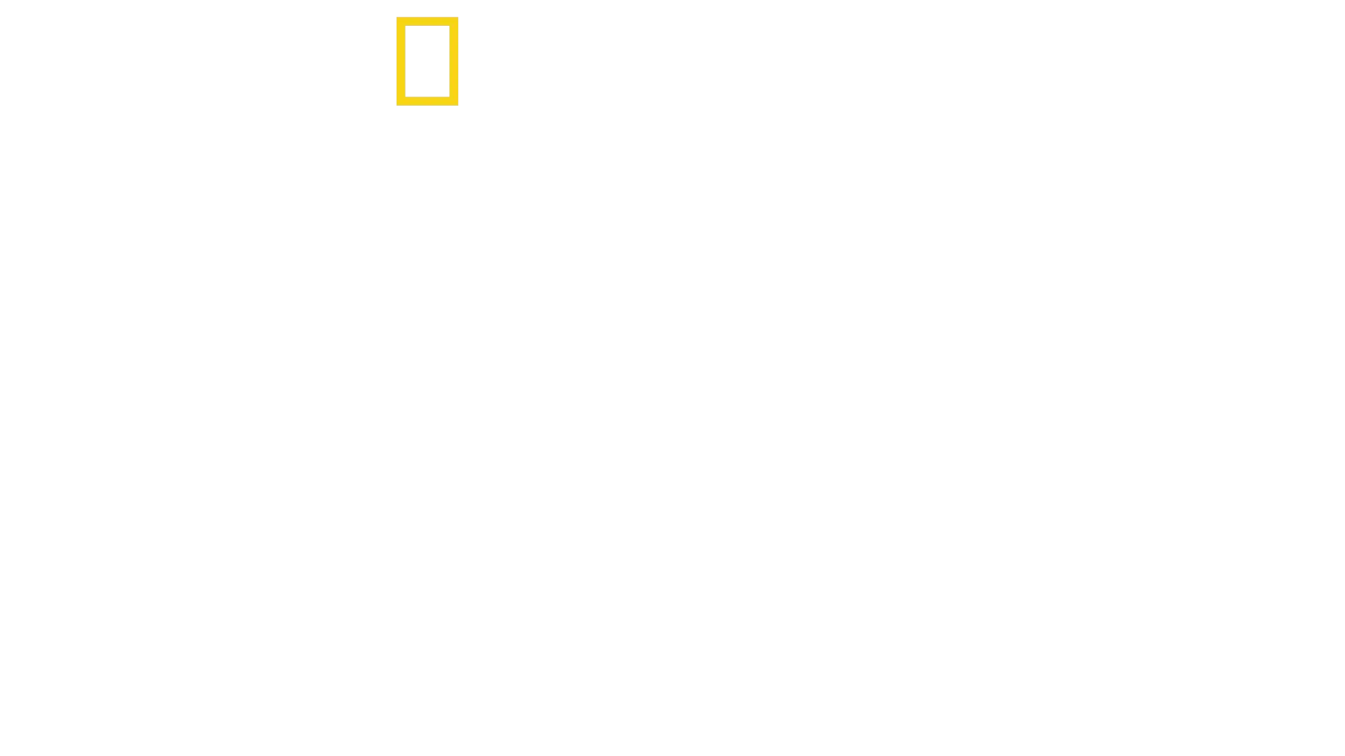 Ze života mláďat