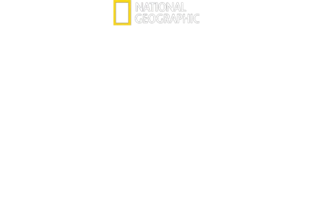 Ze života mláďat